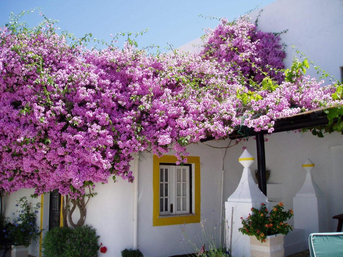 Rio Arade Algarve Manor House Hotel Estômbar Екстериор снимка