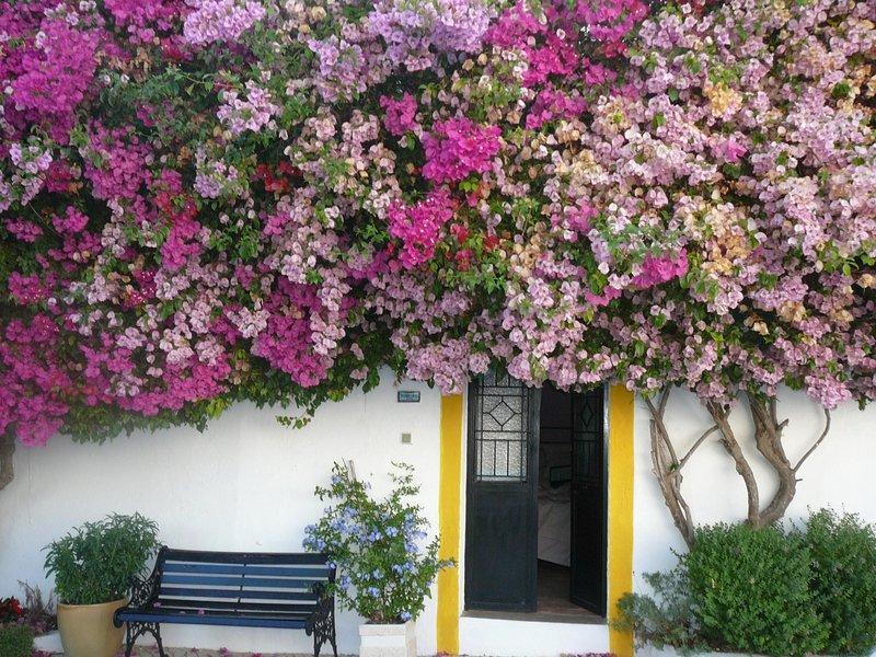 Rio Arade Algarve Manor House Hotel Estômbar Екстериор снимка